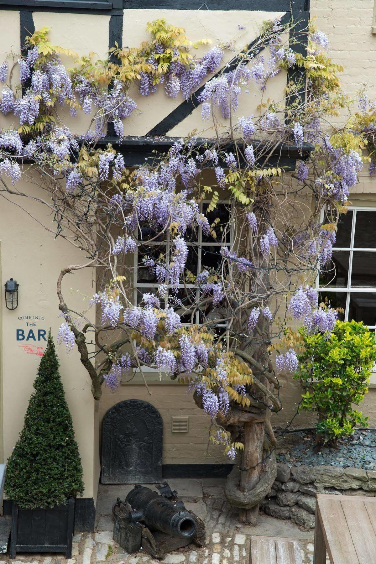 The Crown And Thistle Abingdon-on-Thames Exterior photo